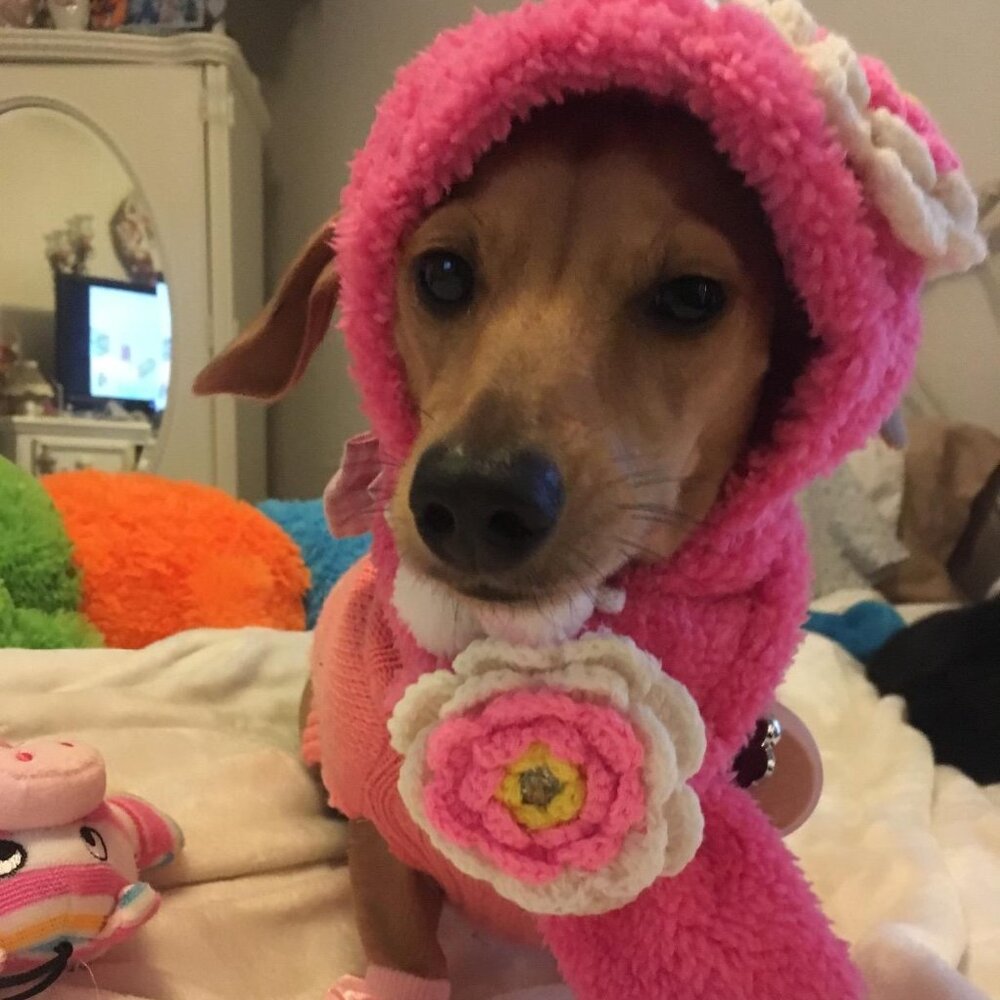 Pet Costome Winter Cloth Fluffy Pet Flower Beanie and Scarf, Medium, Pink/White